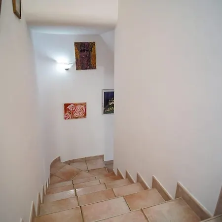Villa Villino Con Giardino- Animal Friendly